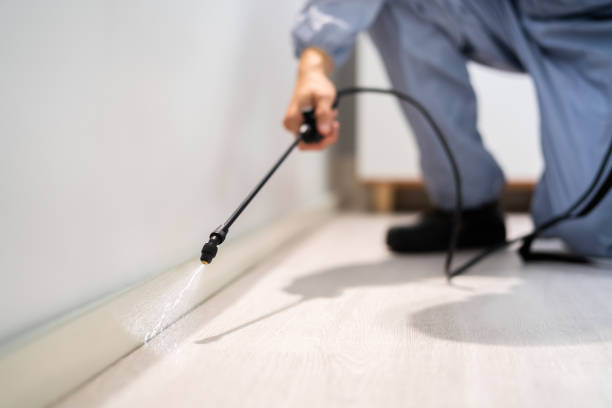 Bed Bug Pre-Treatment Preparation Assessment in Laton