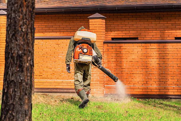 Bed Bug Clearance Verification and Documentation in Laton